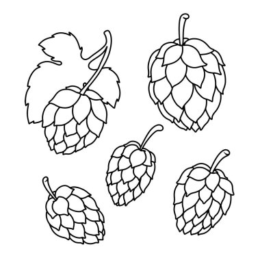 Oymacılık tarzında bira seksinin bir örneği. Poster, etiket, imza, amblem, menü için tasarım ögesi. Vektör illüstrasyonu