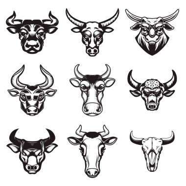 Elle çizilmiş boğa başları beyaz arka plan üzerinde kümesi. Arma, işaret, rozet için tasarım öğeleri. Vektör çizim