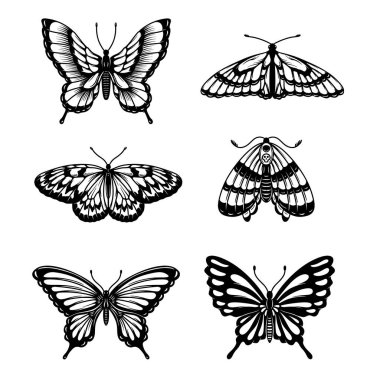 Beyaz arka planda izole edilmiş kelebek çizimleri. Beyaz arkaplanda kelebek.
