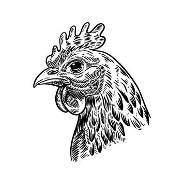 İşleme tarzında bir tavuk tasviri. El yapımı tavuk. Logo, etiket, işaret, amblem, poster tasarımı. Vektör illüstrasyonu