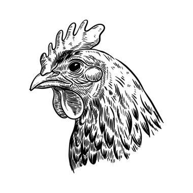 İşleme tarzında bir tavuk tasviri. El yapımı tavuk. Logo, etiket, işaret, amblem, poster tasarımı. Vektör illüstrasyonu