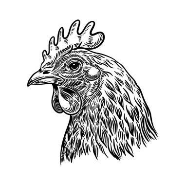 İşleme tarzında bir tavuk tasviri. El yapımı tavuk. Logo, etiket, işaret, amblem, poster tasarımı. Vektör illüstrasyonu