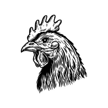 Tavuk kafasının kabartma tarzında bir tasviri. Logo, etiket, işaret, amblem, poster tasarımı. Vektör illüstrasyonu