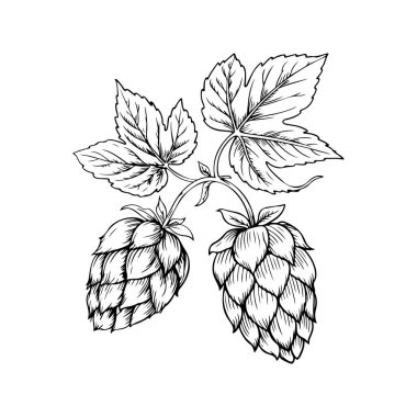 Biranın kabartma tarzındaki yansıması. Poster, kart, pankart, işaret, logo için tasarım ögesi.