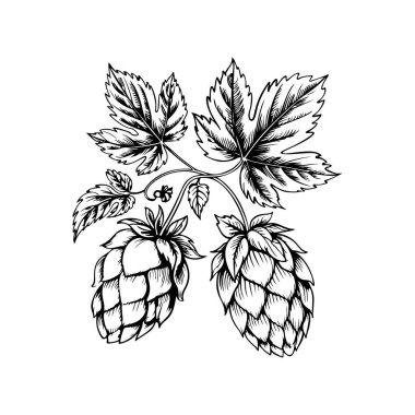 Biranın kabartma tarzındaki yansıması. Poster, kart, pankart, işaret, logo için tasarım ögesi.