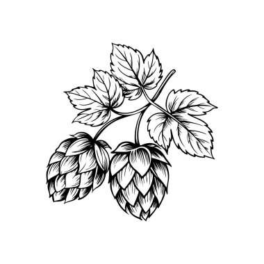 Biranın kabartma tarzındaki yansıması. Poster, kart, pankart, işaret, logo için tasarım ögesi.