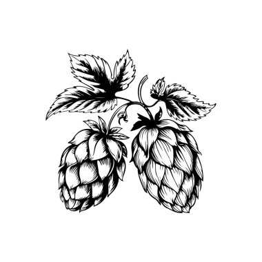 Biranın kabartma tarzındaki yansıması. Poster, kart, pankart, işaret, logo için tasarım ögesi.