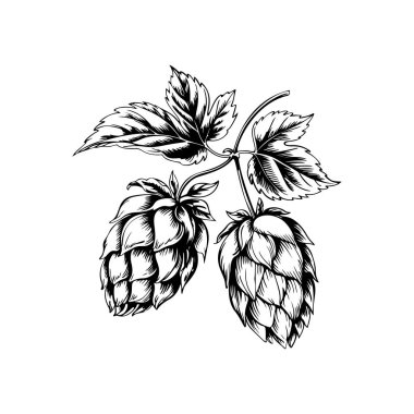 Biranın kabartma tarzındaki yansıması. Poster, kart, pankart, işaret, logo için tasarım ögesi.