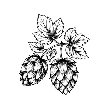 Biranın kabartma tarzındaki yansıması. Poster, kart, pankart, işaret, logo için tasarım ögesi.