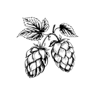 Biranın kabartma tarzındaki yansıması. Poster, kart, pankart, işaret, logo için tasarım ögesi.