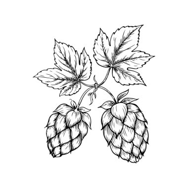 Biranın kabartma tarzındaki yansıması. Poster, kart, pankart, işaret, logo için tasarım ögesi.