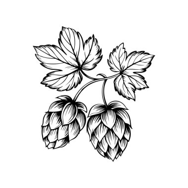 Biranın kabartma tarzındaki yansıması. Poster, kart, pankart, işaret, logo için tasarım ögesi.