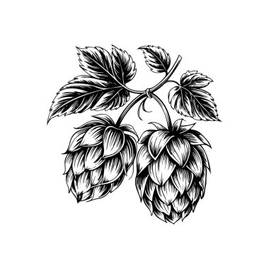 Biranın kabartma tarzındaki yansıması. Poster, kart, pankart, işaret, logo için tasarım ögesi.