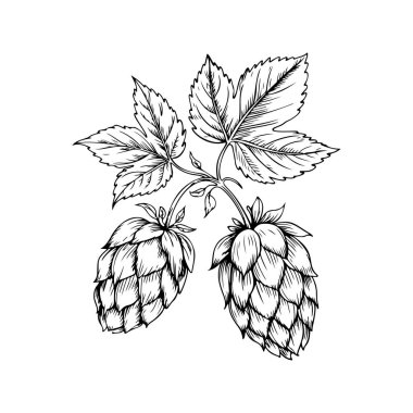 Biranın kabartma tarzındaki yansıması. Poster, kart, pankart, işaret, logo için tasarım ögesi.