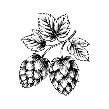 Biranın kabartma tarzındaki yansıması. Poster, kart, pankart, işaret, logo için tasarım ögesi.