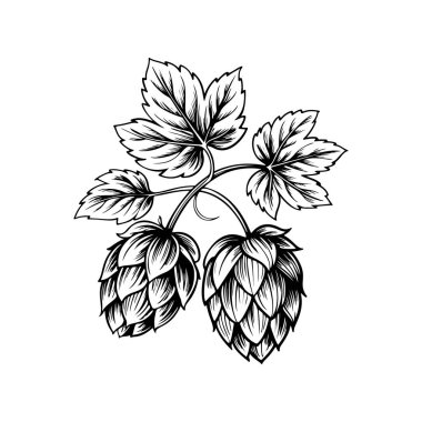 Biranın kabartma tarzındaki yansıması. Poster, kart, pankart, işaret, logo için tasarım ögesi.