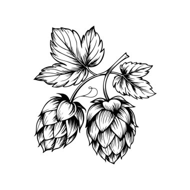 Biranın kabartma tarzındaki yansıması. Poster, kart, pankart, işaret, logo için tasarım ögesi.