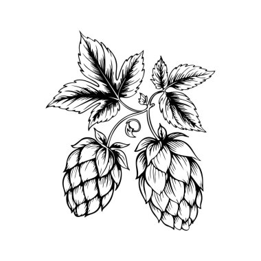 Biranın kabartma tarzındaki yansıması. Poster, kart, pankart, işaret, logo için tasarım ögesi.