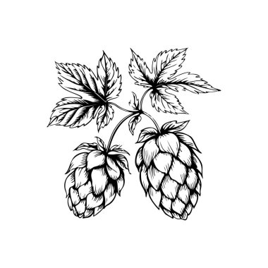 Biranın kabartma tarzındaki yansıması. Poster, kart, pankart, işaret, logo için tasarım ögesi.