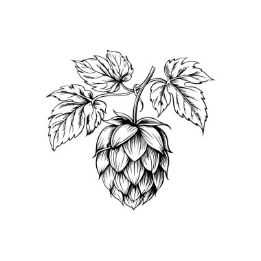 Biranın kabartma tarzındaki yansıması. Poster, kart, pankart, işaret, logo için tasarım ögesi.