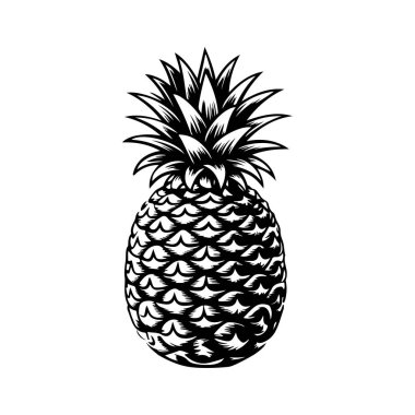 İşleme tarzında ananas çizimi. Poster, etiket, imza, amblem, menü için tasarım ögesi. Vektör illüstrasyonu