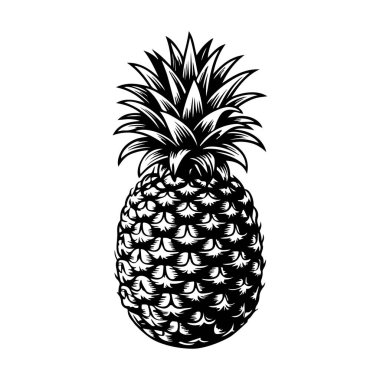 İşleme tarzında ananas çizimi. Poster, etiket, imza, amblem, menü için tasarım ögesi. Vektör illüstrasyonu