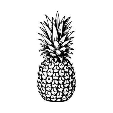 İşleme tarzında ananas çizimi. Poster, etiket, imza, amblem, menü için tasarım ögesi. Vektör illüstrasyonu