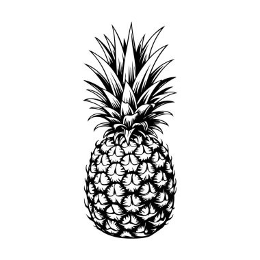 İşleme tarzında ananas çizimi. Poster, etiket, imza, amblem, menü için tasarım ögesi. Vektör illüstrasyonu