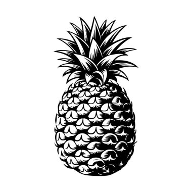 İşleme tarzında ananas çizimi. Poster, etiket, imza, amblem, menü için tasarım ögesi. Vektör illüstrasyonu