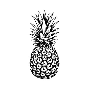 İşleme tarzında ananas çizimi. Poster, etiket, imza, amblem, menü için tasarım ögesi. Vektör illüstrasyonu