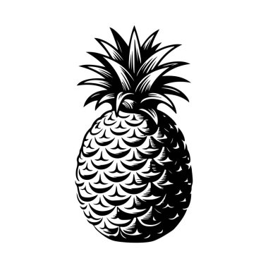 İşleme tarzında ananas çizimi. Poster, etiket, imza, amblem, menü için tasarım ögesi. Vektör illüstrasyonu