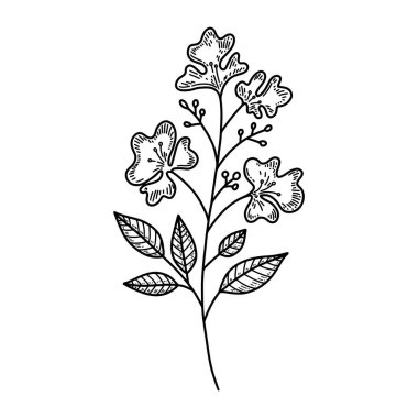 Beyaz arkaplanda oymacılık stili ayrımı. Dekorasyon için tasarım ögesi. Vektör illüstrasyonu