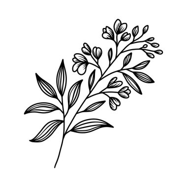 Beyaz arkaplanda oymacılık stili ayrımı. Dekorasyon için tasarım ögesi. Vektör illüstrasyonu