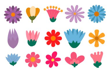 Çiçek başları seti. Papatya, ayçiçeği, beyaz arka planda yaban çiçeği. Vektör illüstrasyonu