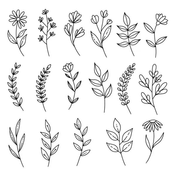 El yapımı yapraklar, dallar, çiçekler, yeşillikler. Pankart, işaret, poster ve dekorasyon için tasarım öğesi. Vektör illüstrasyonu