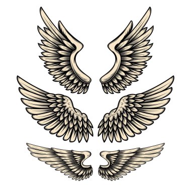 İşleme tarzında bir dizi kanat çizimi. Gotik stil kanat dövmesi. Logo, amblem ve işaret için tasarım elemanları. Vektör illüstrasyonu