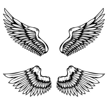 İşleme tarzında bir dizi kanat çizimi. Gotik stil kanat dövmesi. Logo, amblem ve işaret için tasarım elemanları. Vektör illüstrasyonu