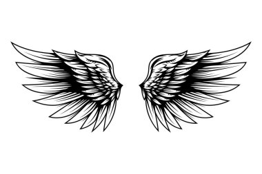 Vintage kanatları beyaz arka plan üzerinde izole. Logo, etiket, arma, işaret, marka işareti için tasarım öğeleri. Vektör çizim. 