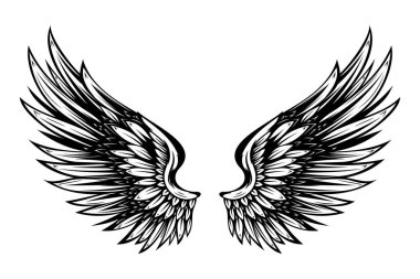 Vintage kanatları beyaz arka plan üzerinde izole. Logo, etiket, arma, işaret, marka işareti için tasarım öğeleri. Vektör çizim. 