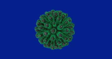 Koronavirüs bakterilerinin soyut 3D animasyonu. 