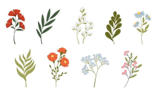 Набір Різних Диких Квітів Векторні Плоскі Ілюстрації Набір Декоративних Елементів — стоковий вектор