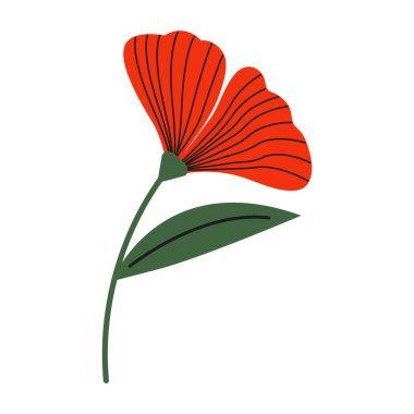 Vahşi çiçek vektörü düz çizimi. Dekoratif çiçek tasarım elementleri