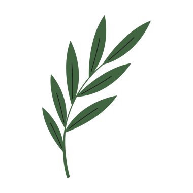 Yeşil, vektör düz çizim bırakır. Dekoratif tasarım ögeleri