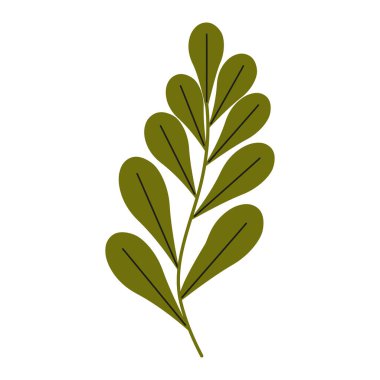 Yeşil, vektör düz çizim bırakır. Dekoratif tasarım ögeleri