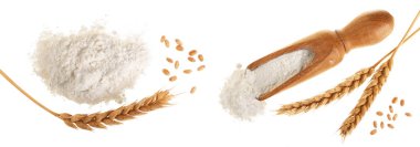 kulakları buğday ve un ahşap Kepçe beyaz arka plan üzerinde izole içinde yığını. Üstten Görünüm. Düz yatıyordu.