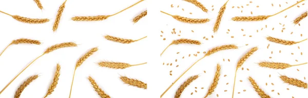 Уши Пшеницы Изолированы Белом Фоне Вид Сверху Плоский Рисунок — стоковое фото