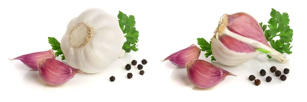 stock image garlic with parsley leaf and peppercorn isolated on white background.