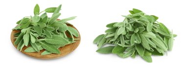 fresh sage herb in wooden bowl isolated on white background with full depth of field.