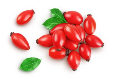 Rose kalçası beyaz arka planda izole edilmiş, geniş bir alana yayılmış. Üst Manzara. Düz yatıyordu