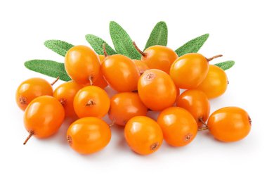 Deniz topalak. Beyaz arka plan makro'izole taze olgun berry.